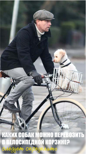 Каких собак можно перевозить в велосипедной корзине? - следует определить